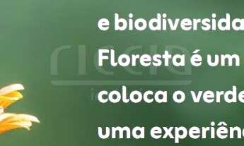 Imagem 6: 250M² de Área Construída, 250M² de Área Total