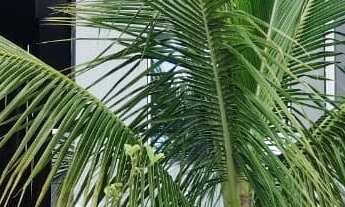 Imagem: 2 dormitórios, 1 suítes, 4 vagas na garagem