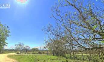 Imagem 3: 3100000M² de Área Total