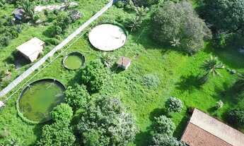 Imagem 2: Vende-se Excelente Área Rural em Iguaíba - Paço do Lumiar - Área total 22.400m²