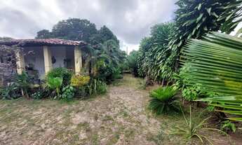 Imagem 3: Chácara à Venda em Sitio do Apicum, São José de Ribamar - MA