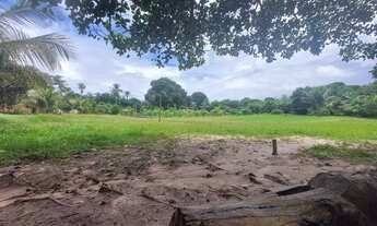 Imagem: Chácara à Venda em Sitio do Apicum, São