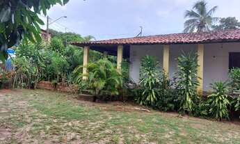 Imagem 5: Chácara à Venda em Sitio do Apicum, São José de Ribamar - MA