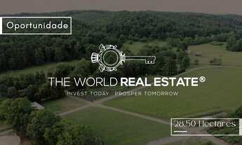 Imagem: Área á venda com 28.50 Hectares em BR230