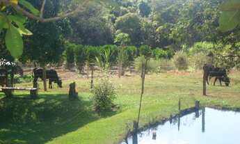 Imagem: SITIO RURAL em LUZIANIA - GO, AMERICANOS