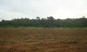 Imagem 6: Fazenda 200 alqueres 061 -9 9968-0502