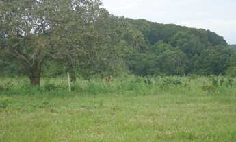 Imagem 7: Fazenda 200 alqueres 061 -9 9968-0502