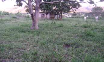 Imagem 2: FAZENDA RURAL em Formosa - GO, Bezerra