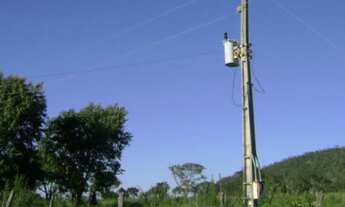 Imagem 3: FAZENDA RURAL em Formosa - GO, Bezerra