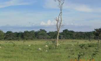 Imagem 5: FAZENDA RURAL em Formosa - GO, Bezerra