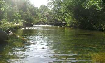 Imagem 6: FAZENDA RURAL em Formosa - GO, Bezerra