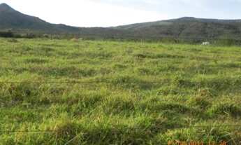 Imagem: FAZENDA RURAL em Formosa - GO, Bezerra