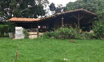 Imagem 6: Vendo Casa Alta padrão em terreno com 10.000,00m² no smpw, contendo mais duas casas simple