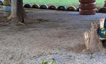 Imagem 7: TERRENO RURAL em Aguas Linda - GO, Quintas Paraiso