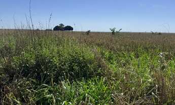 Imagem 4: FAZENDA RURAL em Luis Eduardo Magalhães - BA, Luis Eduardo Magalhães