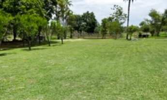 Imagem: GALPAO COMERCIAL em BRASÍLIA - DF, SAMAMBAIA