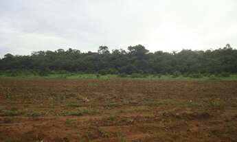 Imagem 3: Fazenda 200 alqueres 061 -9 9968-0502