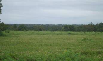 Imagem 1: Fazenda 200 alqueres 061 -9 9968-0502