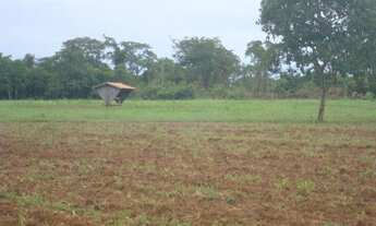 Imagem 2: Fazenda 200 alqueres 061 -9 9968-0502