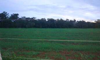 Imagem 4: Fazenda 200 alqueres 061 -9 9968-0502