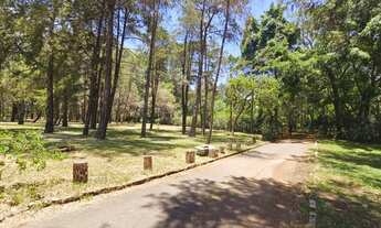 Imagem 6: SMPW 13 - VENDA CASA COM TERRENO COM 20 MIL METROS + ÁREA VERDE