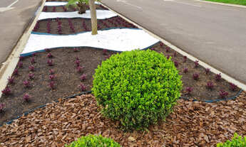Imagem 6: TERRENO RESIDENCIAL em CURITIBA - PR, SANTA CÂNDIDA