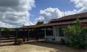 Imagem 4: Sítio à venda em Governador Valadares - MG