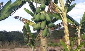 Imagem 4: Chácara a venda próxima ao Posto Cherokee em Governador Valadares - MG