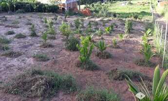 Imagem 5: Chácara a venda próxima ao Posto Cherokee em Governador Valadares - MG