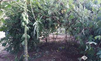 Imagem 6: Chácara a venda próxima ao Posto Cherokee em Governador Valadares - MG
