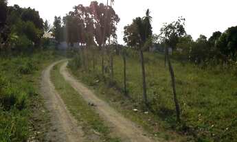 Imagem: FAZENDA RURAL em conceição do almeida