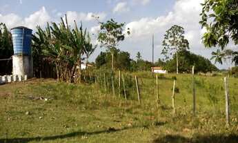 Imagem 5: FAZENDA RURAL em conceição do almeida - BA, muritibinha