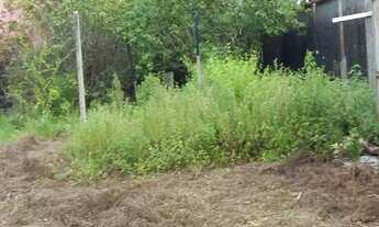 Imagem 5: Estrada Velha do Aeroporto