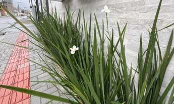 Imagem 4: 2 dormitórios, 2 suíte, 3 banheiro, 79M² de Área Construída