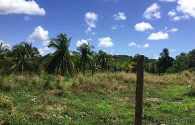 Imagem 4: AREA COMERCIAL em CAMAÇARI - BA, CATU DE ABRANTES (ABRANTES