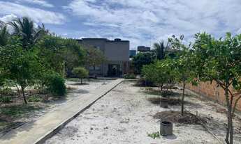 Imagem 2: 3 dormitórios na Rua Manoel Coelho