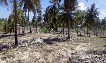Imagem: AREA COMERCIAL em JANDAÍRA - BA, JANDAÍRA