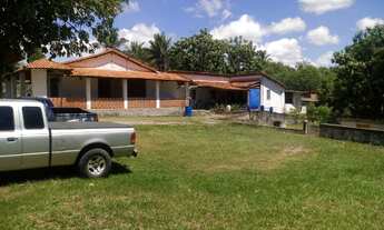 Imagem: 15000M² de Área Construída na Rua Colônia