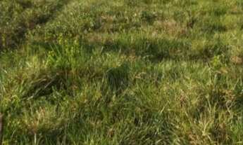 Imagem 6: 4 dormitórios na Avenida Osvaldo Ribeiro