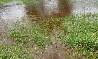 Imagem 5: 4 dormitórios na Avenida Osvaldo Ribeiro