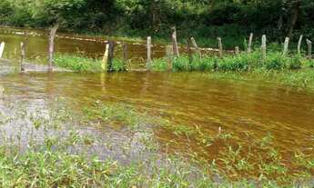 Imagem 4: 4 dormitórios na Avenida Osvaldo Ribeiro