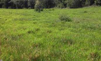 Imagem 7: 4 dormitórios na Avenida Osvaldo Ribeiro