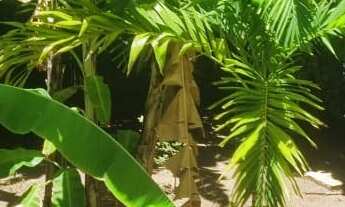 Imagem 7: CASA RESIDENCIAL em LAURO DE FREITAS - BA, VILAS DO ATLÂNTICO