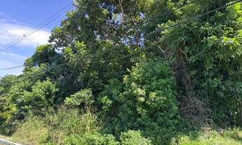 Imagem 2: 3700M² de Área Total na Avenida Santos Dumont