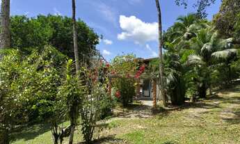 Imagem 3: 4 dormitórios na Rua Sucupira