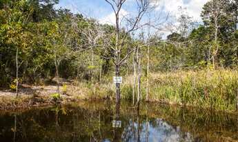 Imagem: AREA COMERCIAL em CAMAÇARI - BA, BARRA