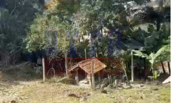 Imagem: 900M² de Área Total na Rua Bráulio Werner