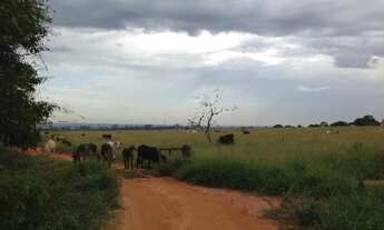 Imagem 4: 1 dormitório na Rua Antônio De Godoy