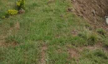 Imagem 4: Chácara em Porangaba