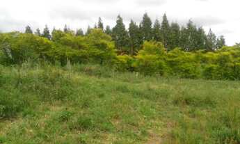 Imagem 5: Chácara em Porangaba